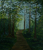 forest2